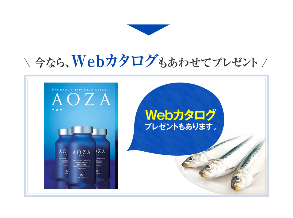 ウェブカタログもプレゼント